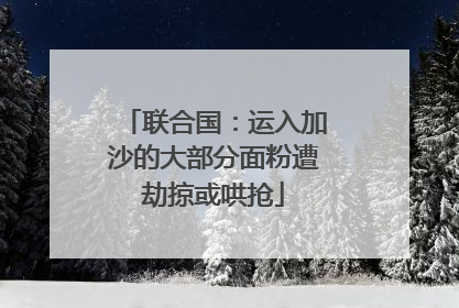 联合国：运入加沙的大部分面粉遭劫掠或哄抢