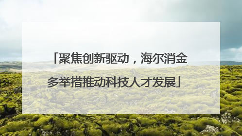 聚焦创新驱动，海尔消金多举措推动科技人才发展