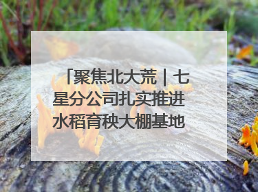 聚焦北大荒｜七星分公司扎实推进水稻育秧大棚基地清理整治工作
