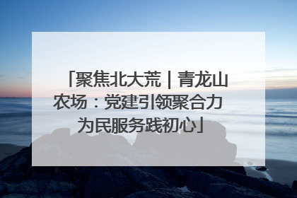 聚焦北大荒｜青龙山农场：党建引领聚合力 为民服务践初心
