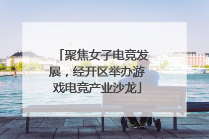 聚焦女子电竞发展，经开区举办游戏电竞产业沙龙