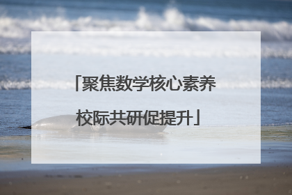 聚焦数学核心素养 校际共研促提升