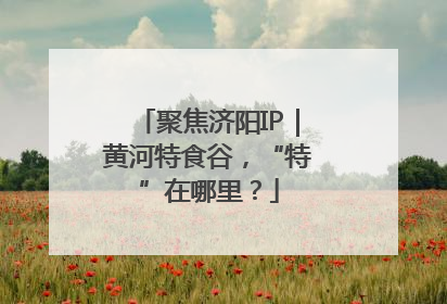 聚焦济阳IP｜黄河特食谷，“特”在哪里？