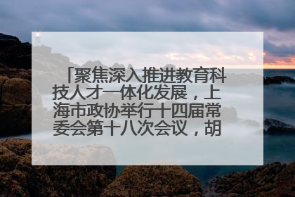 聚焦深入推进教育科技人才一体化发展，上海市政协举行十四届常委会第十八次会议，胡文容出席并讲话