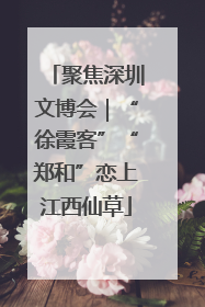 聚焦深圳文博会｜“徐霞客”“郑和”恋上江西仙草