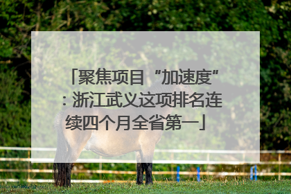 聚焦项目“加速度”：浙江武义这项排名连续四个月全省第一