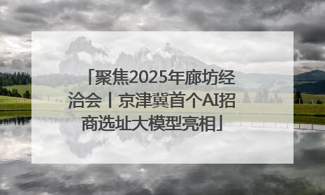 聚焦2025年廊坊经洽会丨京津冀首个AI招商选址大模型亮相