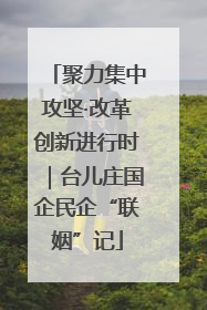 聚力集中攻坚·改革创新进行时｜台儿庄国企民企“联姻”记
