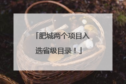 肥城两个项目入选省级目录！