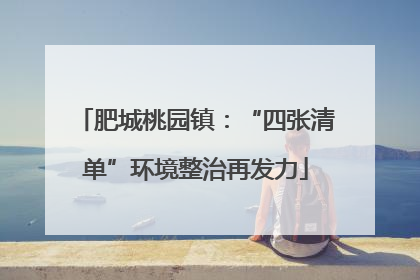 肥城桃园镇：“四张清单”环境整治再发力