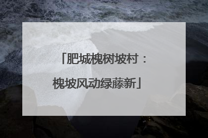 肥城槐树坡村：槐坡风动绿藤新