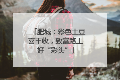 肥城：彩色土豆喜丰收，致富路上好“彩头”