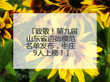 致敬！第九届山东省道德模范名单发布，枣庄9人上榜！