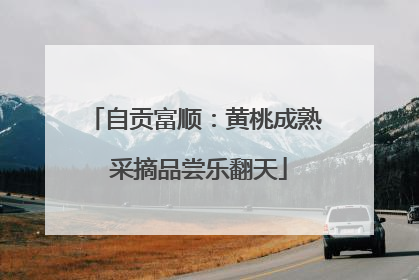 自贡富顺：黄桃成熟 采摘品尝乐翻天