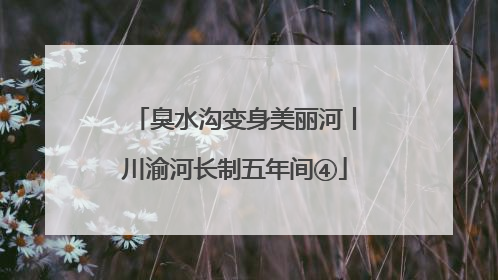臭水沟变身美丽河丨川渝河长制五年间④