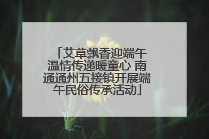 艾草飘香迎端午 温情传递暖童心 南通通州五接镇开展端午民俗传承活动