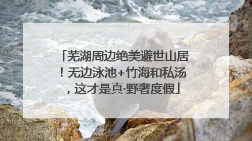 芜湖周边绝美避世山居!无边泳池+竹海和私汤,这才是真·野奢度假