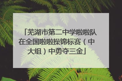 芜湖市第二中学啦啦队在全国啦啦操锦标赛（中大组）中勇夺三金