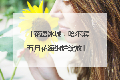 花语冰城：哈尔滨五月花海绚烂绽放