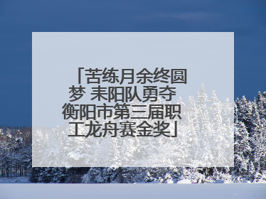 苦练月余终圆梦 耒阳队勇夺衡阳市第三届职工龙舟赛金奖