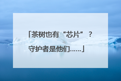 茶树也有“芯片”？守护者是他们……