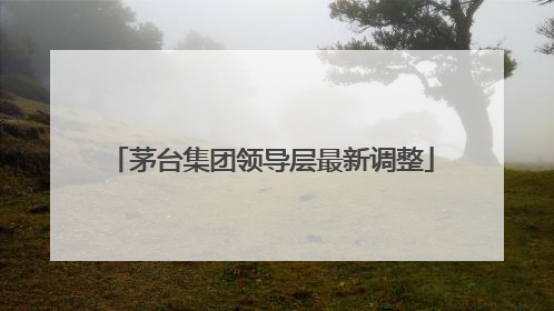 茅台集团领导层最新调整