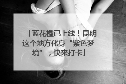 蓝花楹已上线！昆明这个地方化身“紫色梦境”，快来打卡