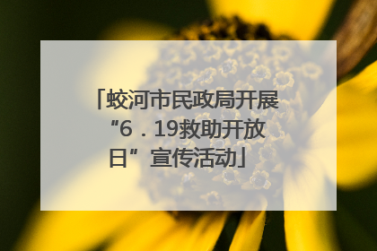 蛟河市民政局开展“6．19救助开放日”宣传活动