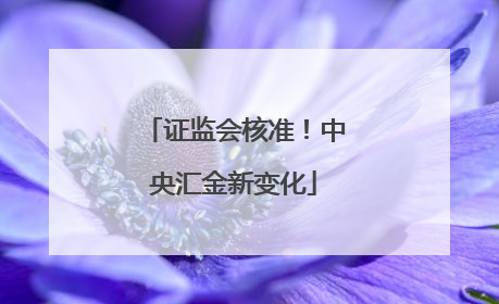 证监会核准！中央汇金新变化