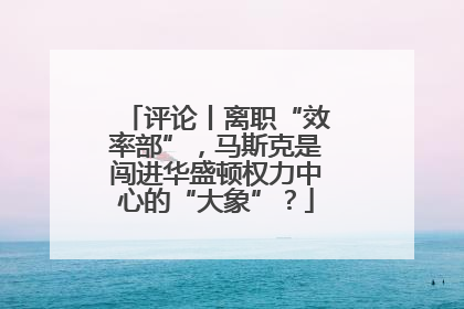 评论丨离职“效率部”，马斯克是闯进华盛顿权力中心的“大象”？