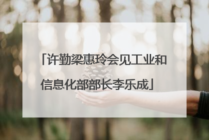许勤梁惠玲会见工业和信息化部部长李乐成