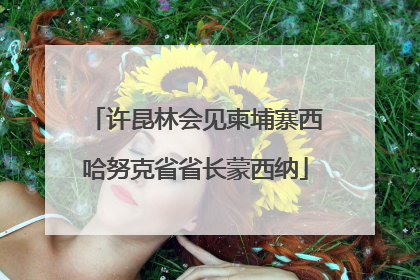 许昆林会见柬埔寨西哈努克省省长蒙西纳