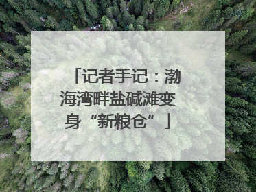 记者手记：渤海湾畔盐碱滩变身“新粮仓”