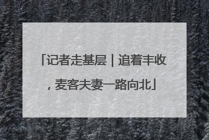 记者走基层｜追着丰收，麦客夫妻一路向北