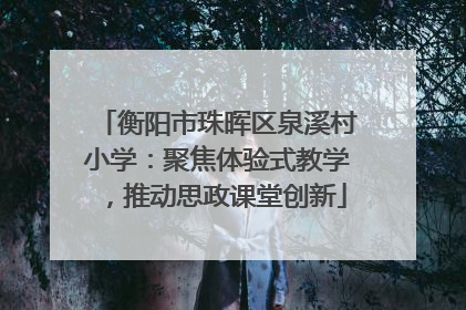 衡阳市珠晖区泉溪村小学：聚焦体验式教学，推动思政课堂创新