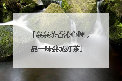 袅袅茶香沁心脾，品一味婺城好茶