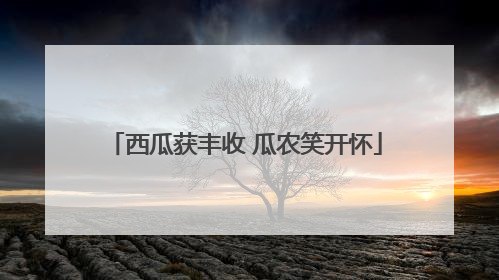 西瓜获丰收 瓜农笑开怀