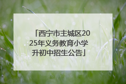 西宁市主城区2025年义务教育小学升初中招生公告