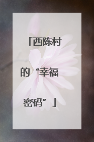 西陈村的“幸福密码”