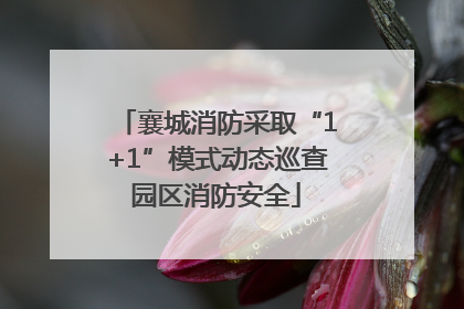 襄城消防采取“1+1”模式动态巡查园区消防安全