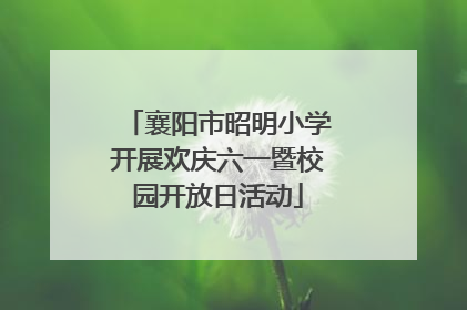 襄阳市昭明小学开展欢庆六一暨校园开放日活动