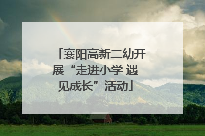 襄阳高新二幼开展“走进小学 遇见成长”活动