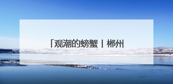 观潮的螃蟹丨郴州公务接待改革一周年的“零”经验
