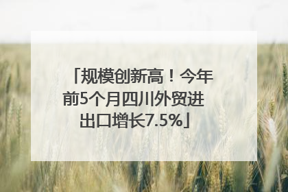 规模创新高！今年前5个月四川外贸进出口增长7.5%