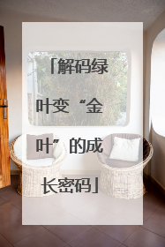 解码绿叶变“金叶”的成长密码