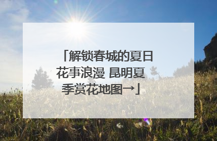 解锁春城的夏日花事浪漫 昆明夏季赏花地图→