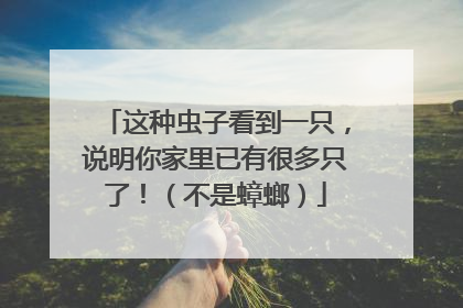 这种虫子看到一只，说明你家里已有很多只了！（不是蟑螂）