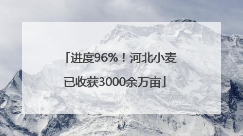 进度96%！河北小麦已收获3000余万亩