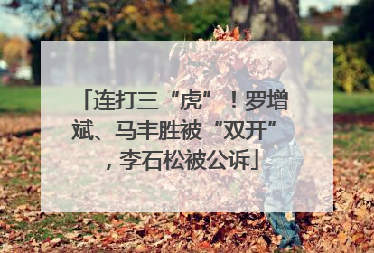 连打三“虎”！罗增斌、马丰胜被“双开”，李石松被公诉