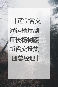 辽宁省交通运输厅副厅长杨树履新省交投集团总经理